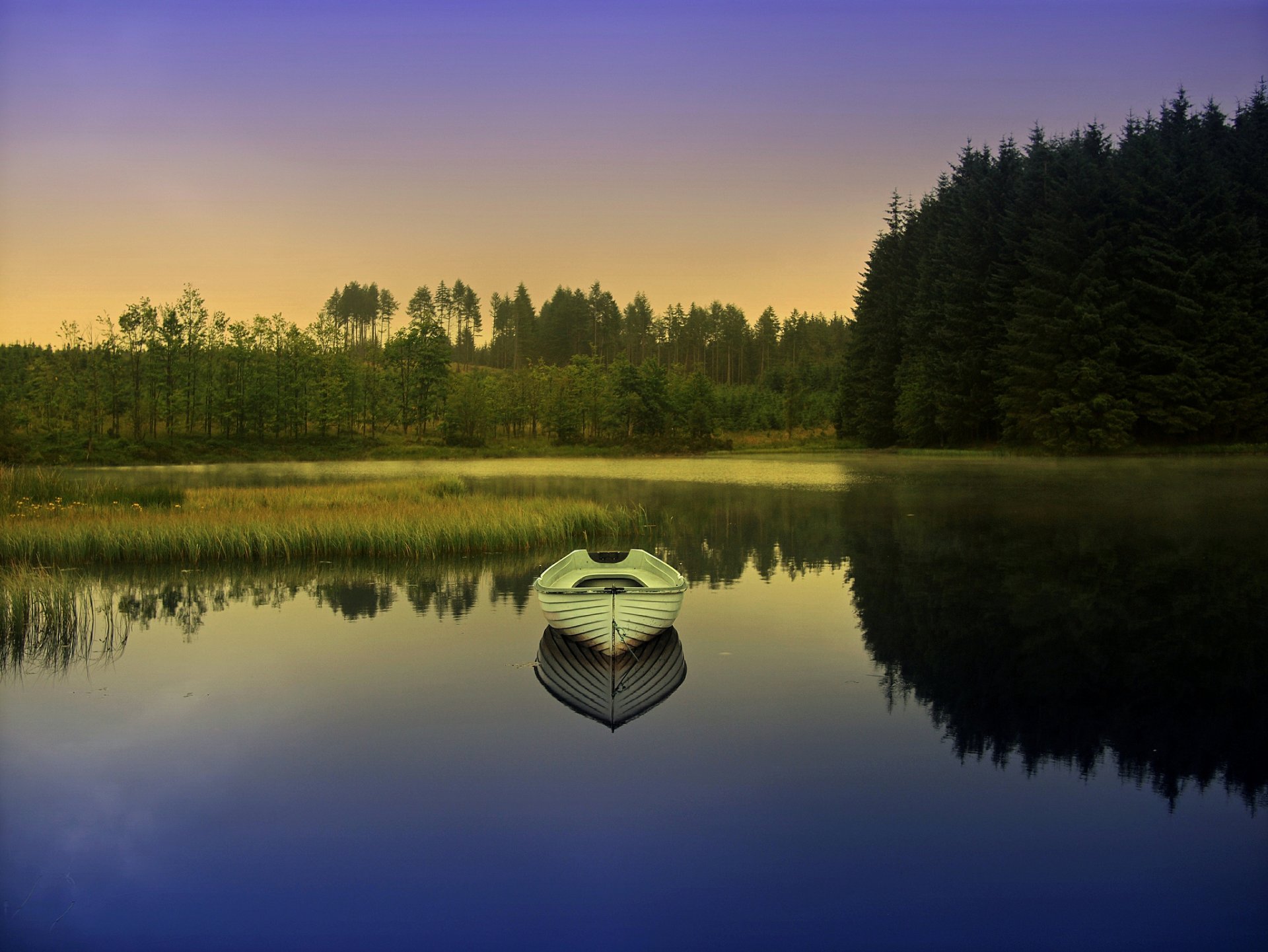 bosque lago barco amanecer