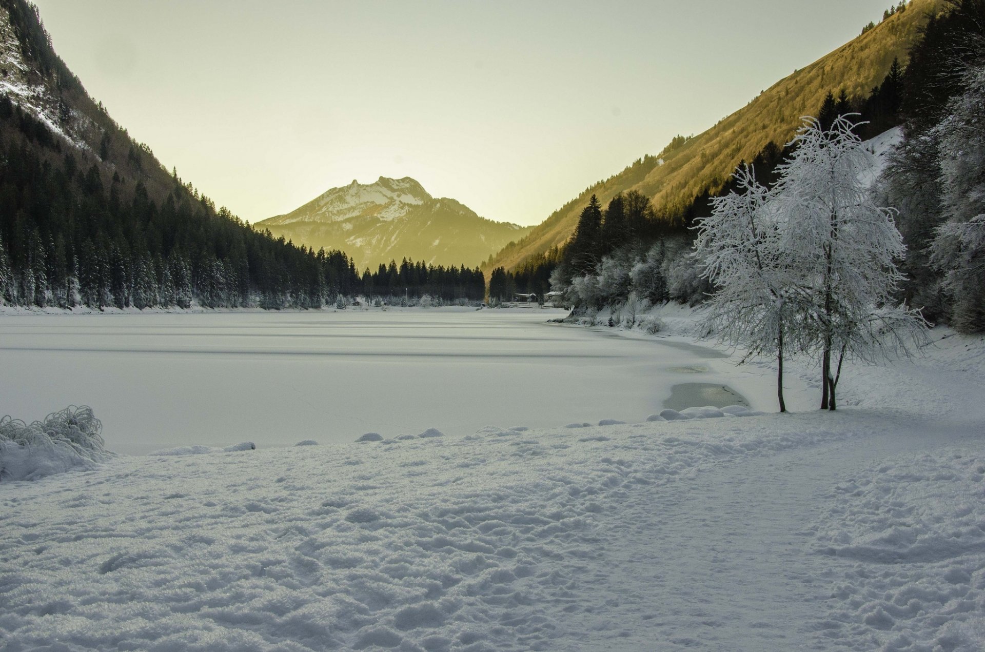 montagnes forêt lac neige glace givre hiver