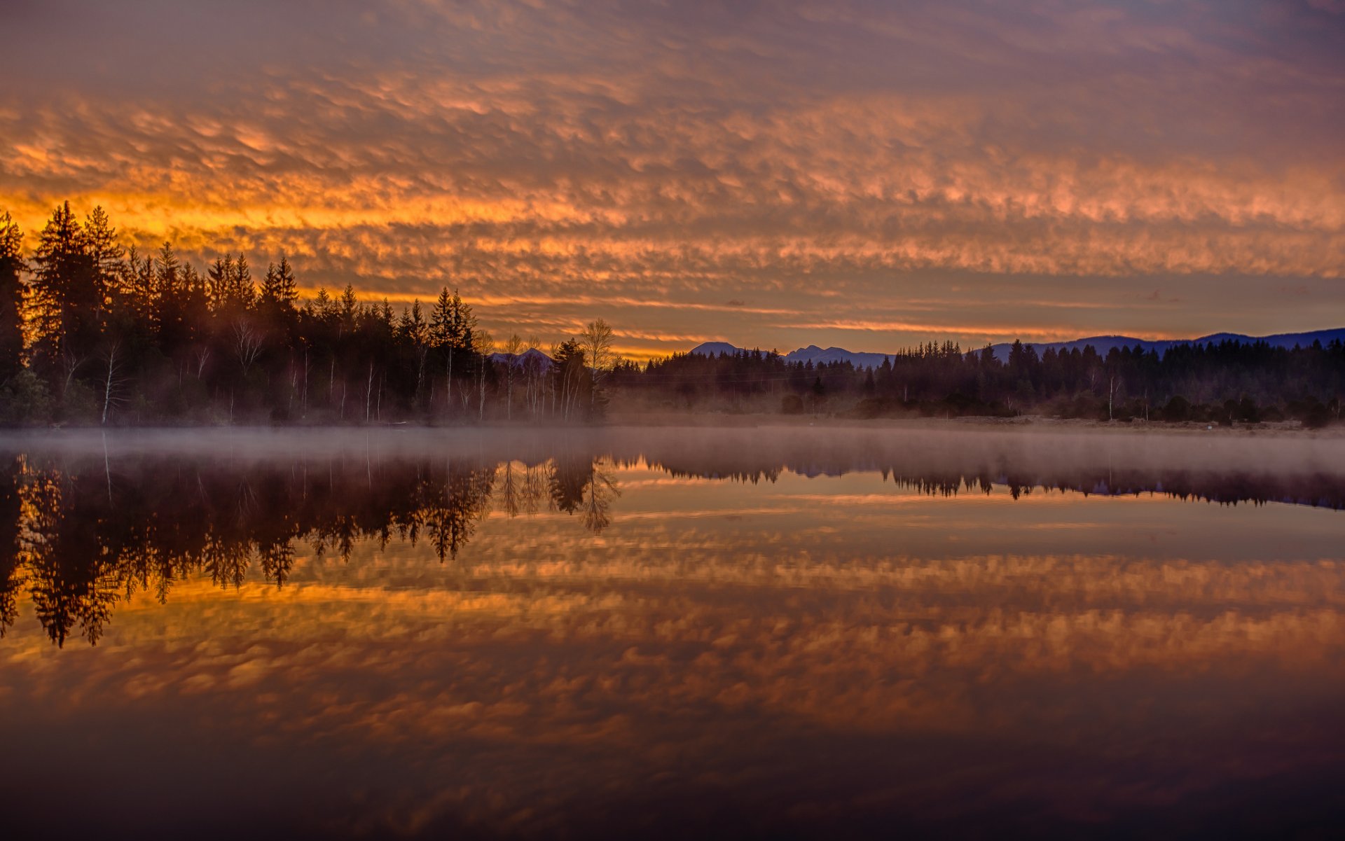 lake kirchsee bavaria germany dawn morning fog reflection forest