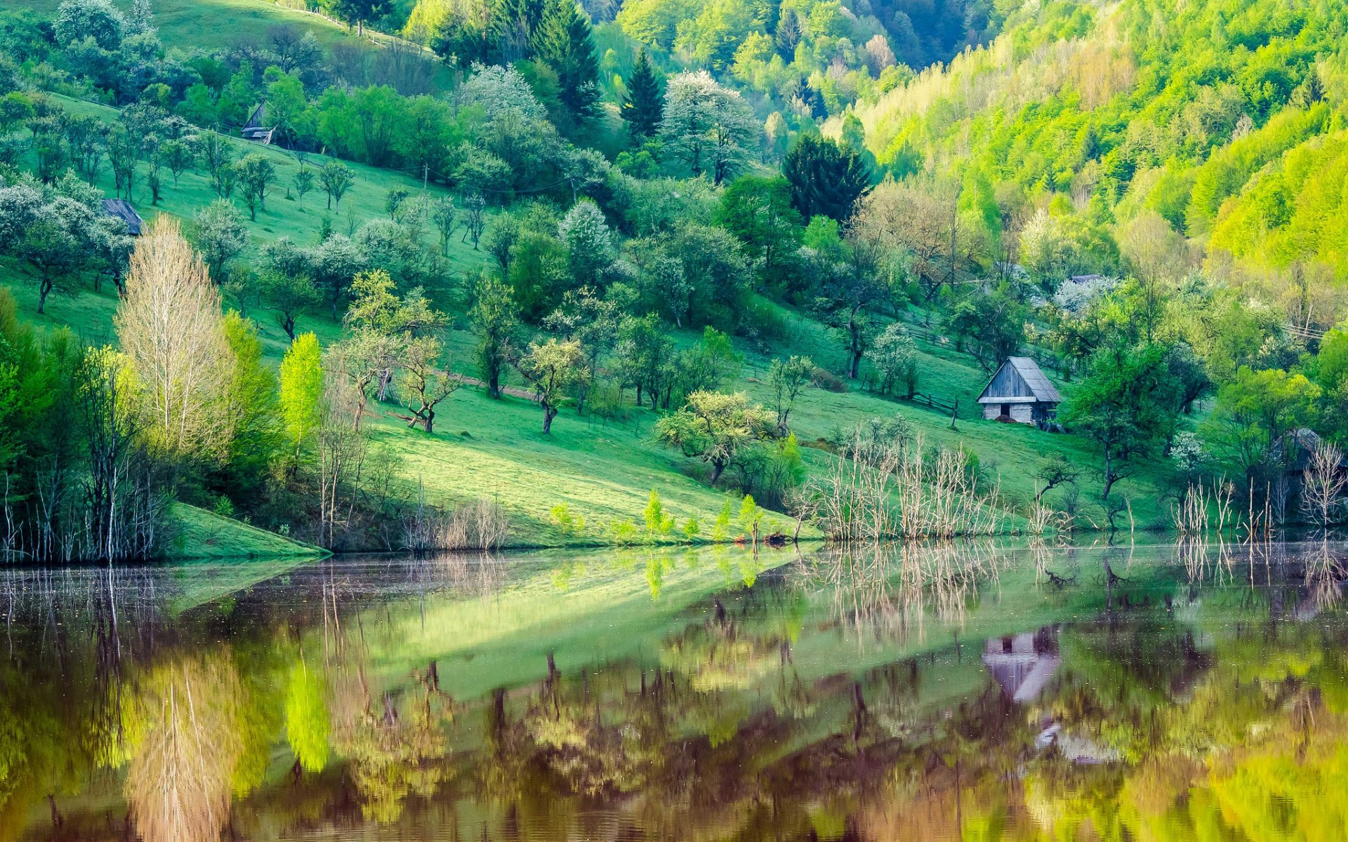 mountain slope tree house lake reflection spring