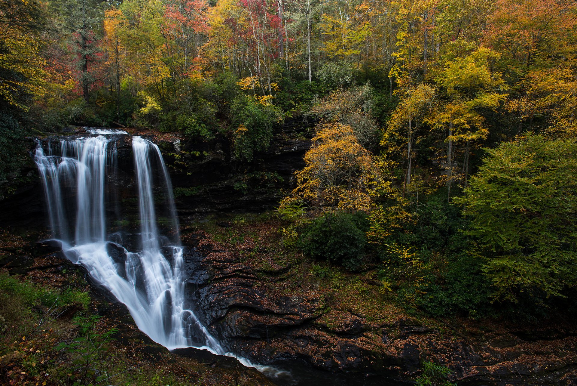 automne forêt cascade