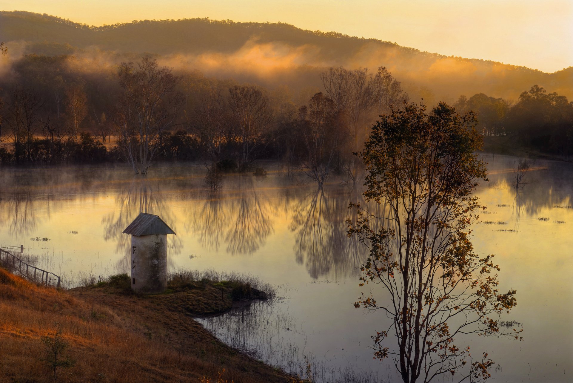 hills forest lake autumn fog morning