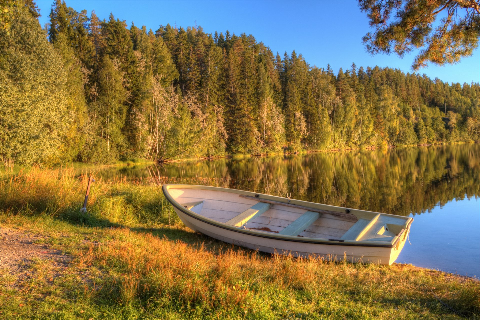 autumn earlier forest lake boat morning