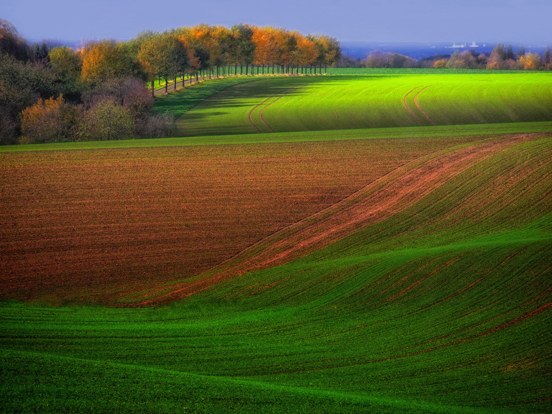 campi alberi autunno