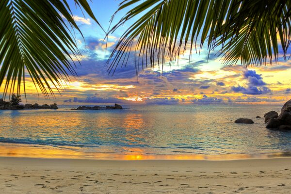 Beautiful sunset on the sea by the beach with palm trees