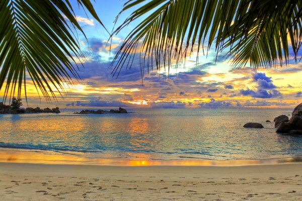 Hermosa puesta de sol en el mar junto a la playa con palmeras