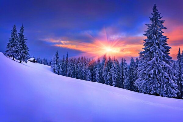 Beau paysage de coucher de soleil d hiver