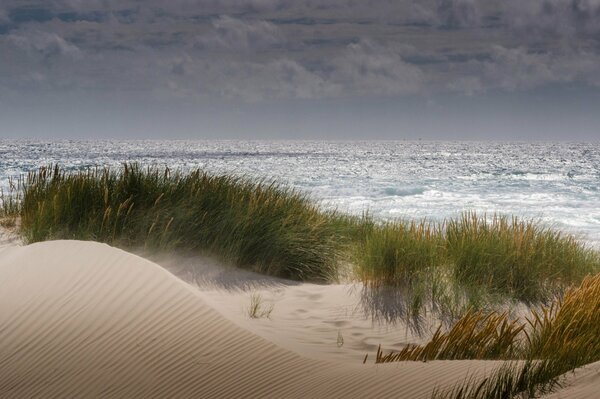 Dünen am Sandstrand vor dem Hintergrund des Meeres