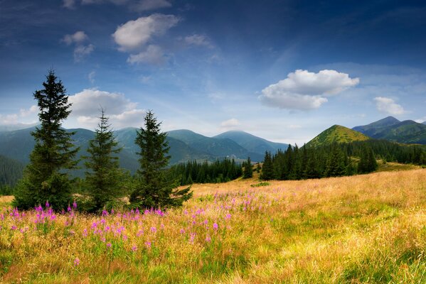 Tutta la bellezza della natura ai piedi della montagna