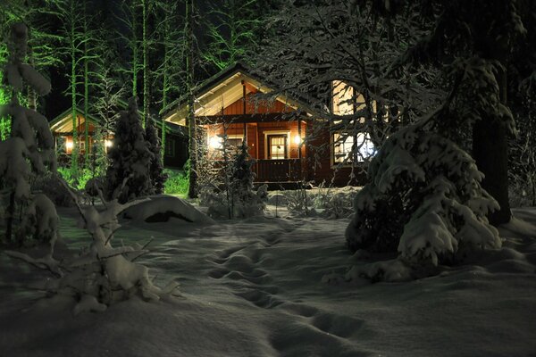 Capanna nella foresta di conifere invernali