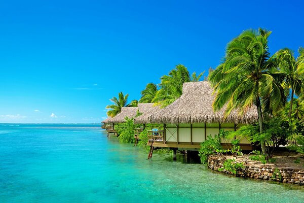 La mer bleue de la station balnéaire des Maldives