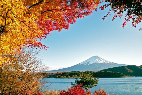 Autumn trees were shown in all their glory by nature