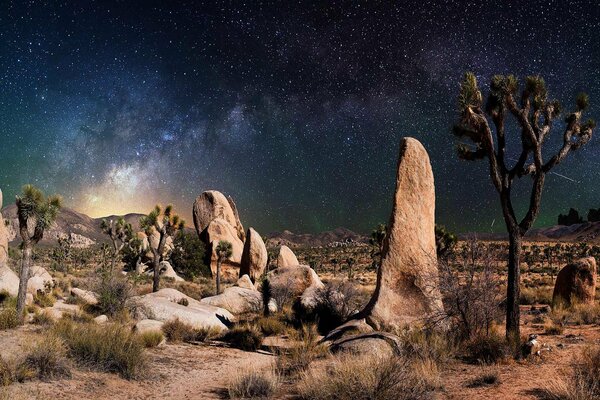 Da qualche parte nel deserto sotto le stelle