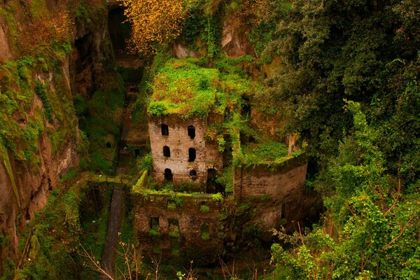 Ruins of a building overgrown with greenery