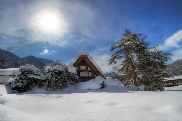 Montagne lontane di neve soleggiata