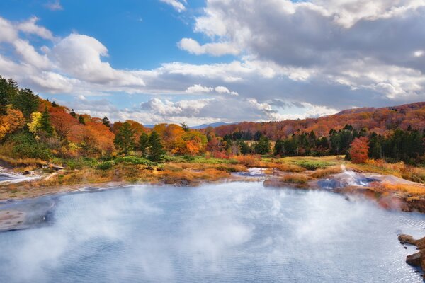 Hermoso paisaje forestal de otoño