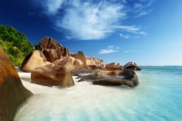 Isola nell oceano bellissimo paesaggio