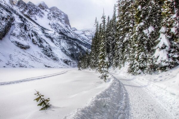 Eine Winterstraße, die Berge und Wald trennt