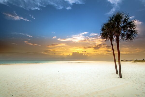 White sandy beach at sunset