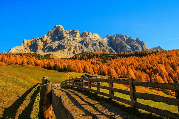 Der Weg in die herbstliche Landschaft der Berge