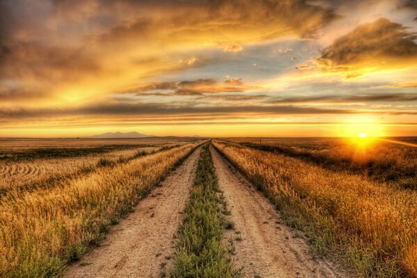 The road through a field of rye against the background of the setting sun and a very beautiful sky