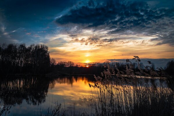 Sunset over the evening lake with reeds