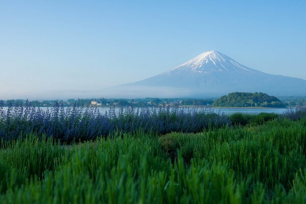 Piękny widok na wulkan w Japonii