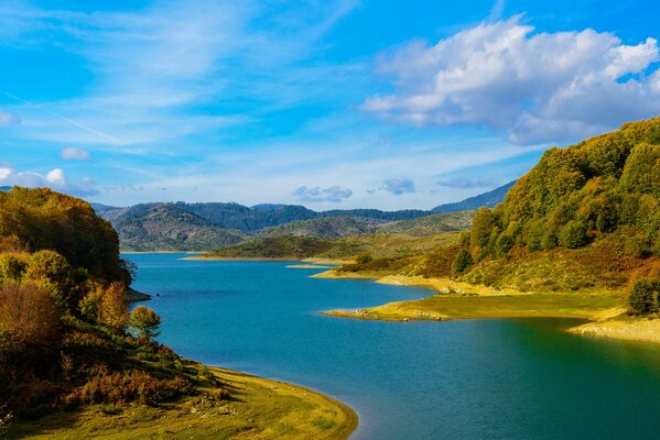 Lake and nearby forest