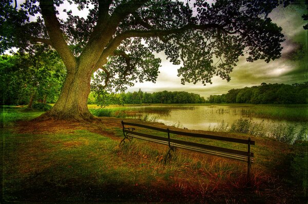 Enjoying the nature of autumn and the beauty of the forest