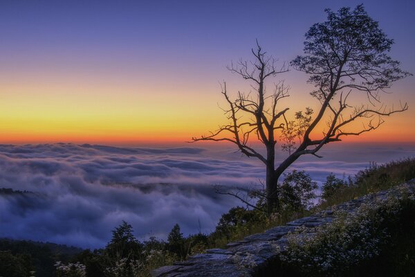 Berggipfel im Morgengrauen