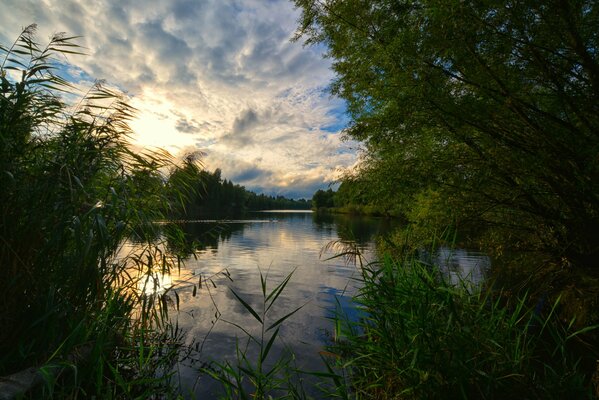 Waldsee in der Morgenstunde