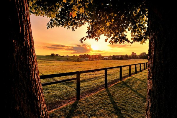 Sonnenaufgang über einem Feld mit einem Zaun