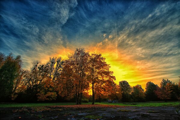 Tramonto in una sera d autunno nel parco