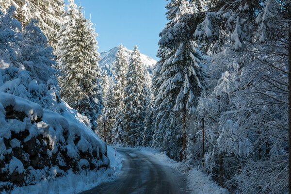 Die Straße ist im Winter von einem Fichtenwald umgeben