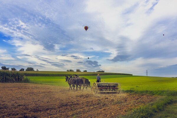 Fliegende Bälle und Pferde auf dem Feld