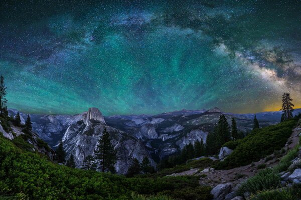 Immagine del Parco Nazionale di notte, cielo blu stellato in California