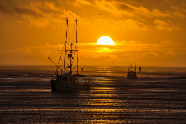 Barche da pesca in mare al tramonto