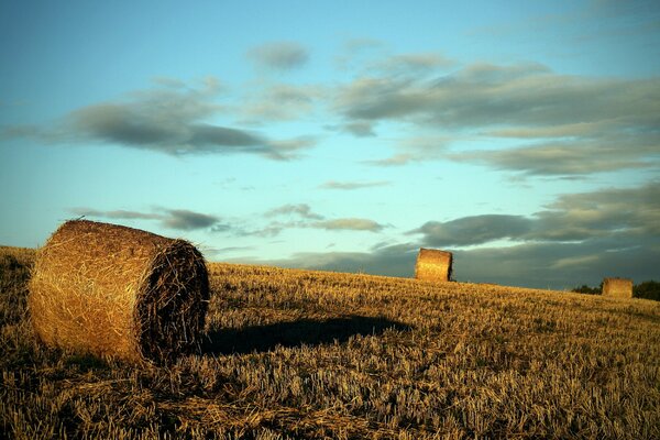 Abendliche Heuernte auf dem Feld