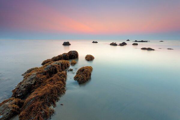 Rocks covered with algae rise above the surface of the water