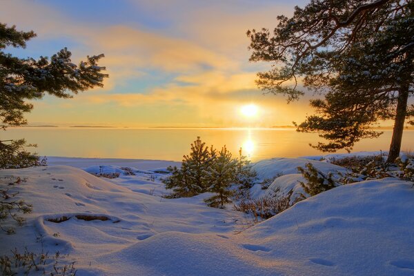 Winter Natur am See