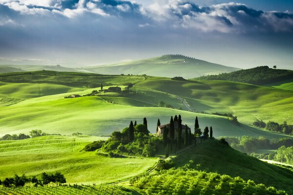 Изображение зеленых полей в Италии на фоне восхода солнца