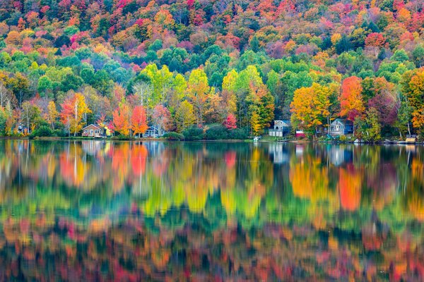 Reflejo del bosque de otoño en el agua