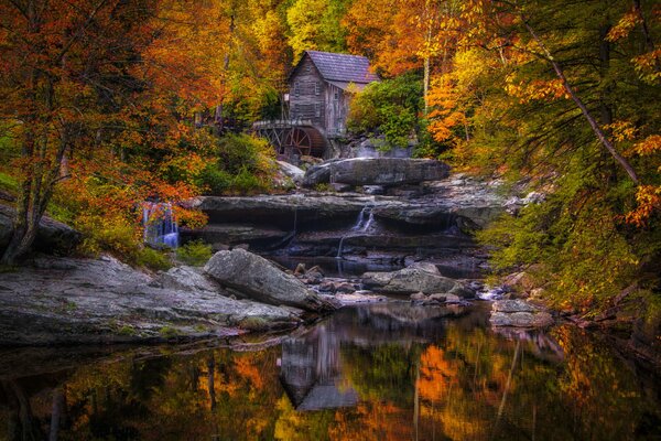 Ein Haus im Wald in der Nähe des Sees im Herbst