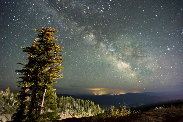 Cielo stellato nella foresta di montagna autunnale