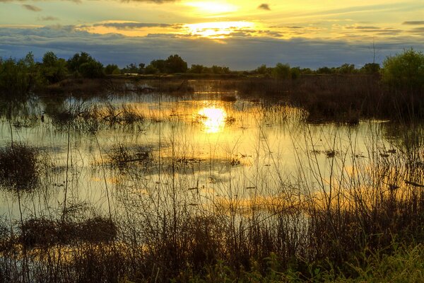 Evening sunset on the lake