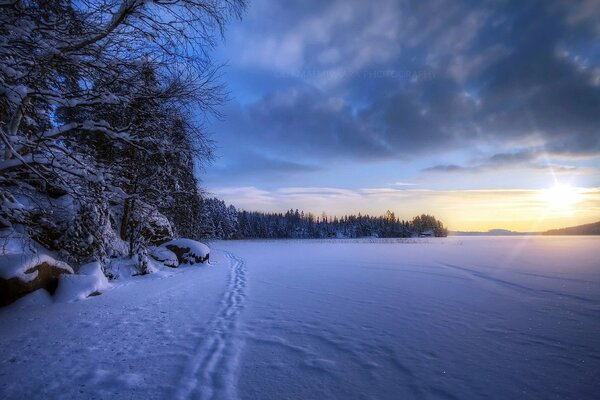 Traces de neige. Paysage forestier