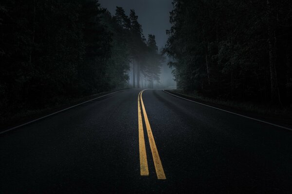 Strada notturna nella foresta oscura