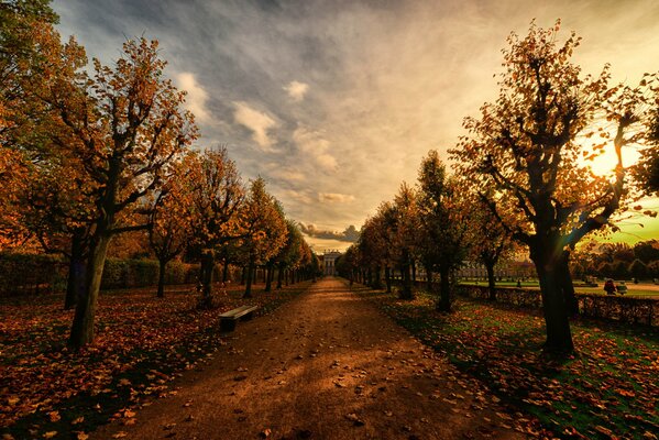 Autumn road evening square