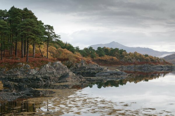 Landscape: mountains and forest lake