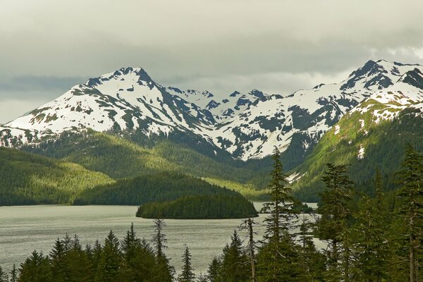 Île dans la forêt au milieu des montagnes